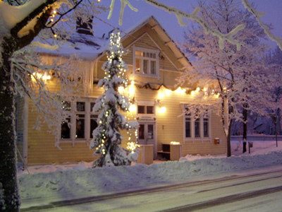Talvinen Onnenkukko